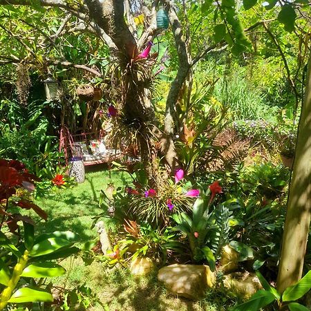 Casa De Vidro Apartman Petrópolis Kültér fotó