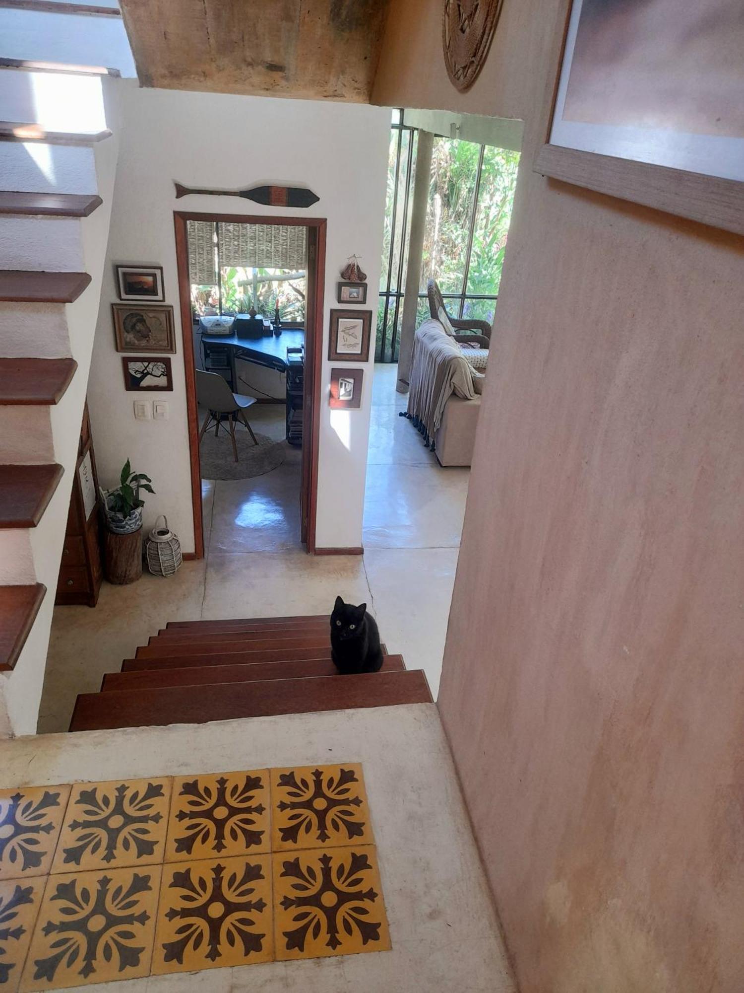 Casa De Vidro Apartman Petrópolis Kültér fotó