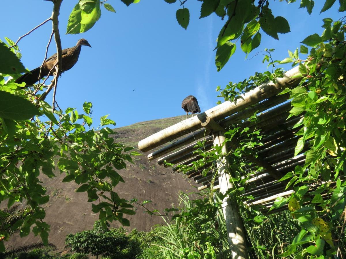 Casa De Vidro Apartman Petrópolis Kültér fotó